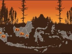 Kemarau Membara: Kebakaran Hutan Kalimantan Barat