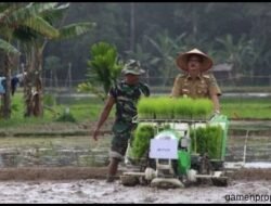 Pertanian Pontianak: Mendorong Pertumbuhan dan Kesejahteraan