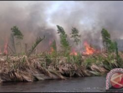 Perubahan Iklim Kalimantan Barat: Dampak dan Solusi